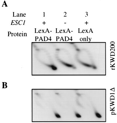 FIG. 5.