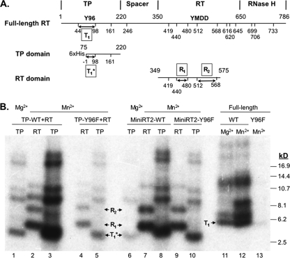 Fig. 9.