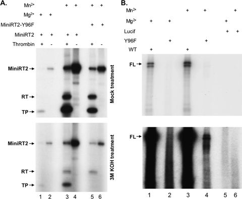 Fig. 8.