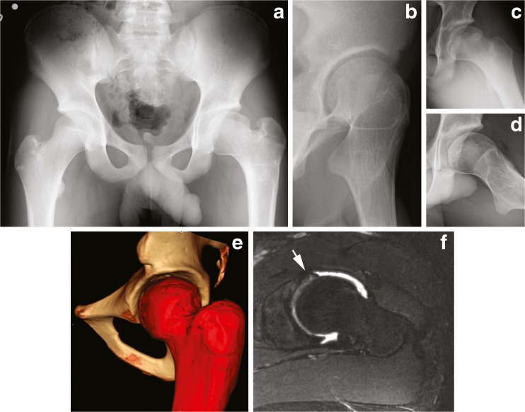 Fig. 5