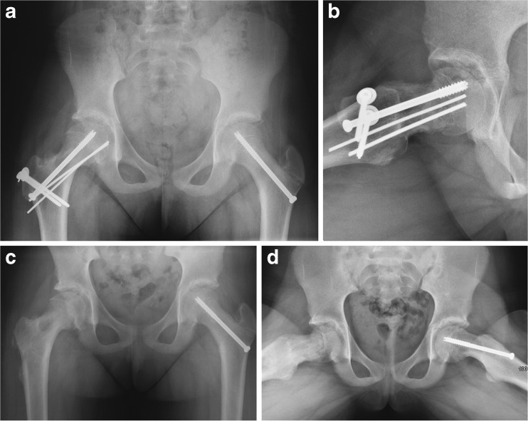 Fig. 2