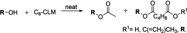 Scheme 3