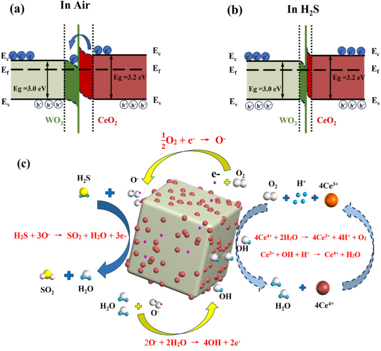 Fig. 7