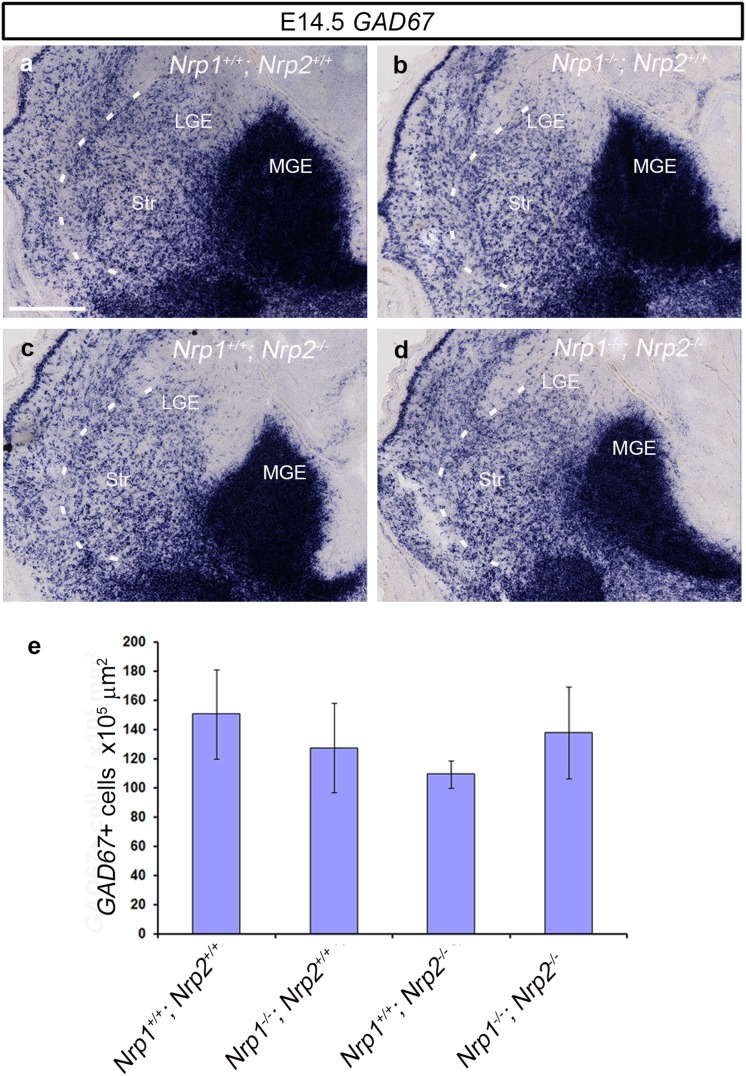 Fig. 6