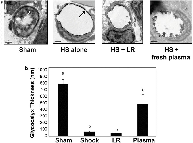 Fig. 20.1