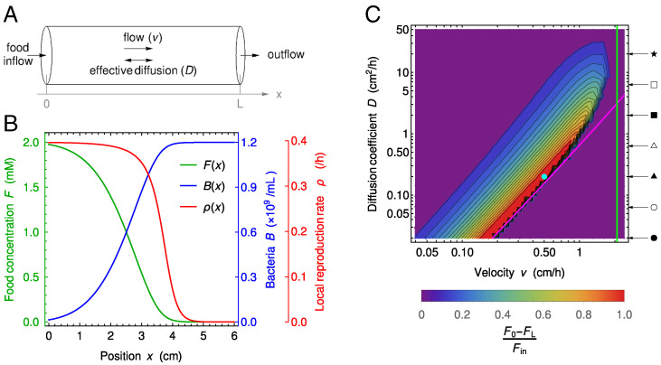 Fig. 1.