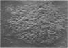 506