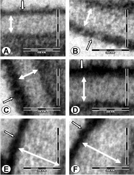 FIG. 5.