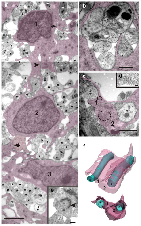 Fig. 9