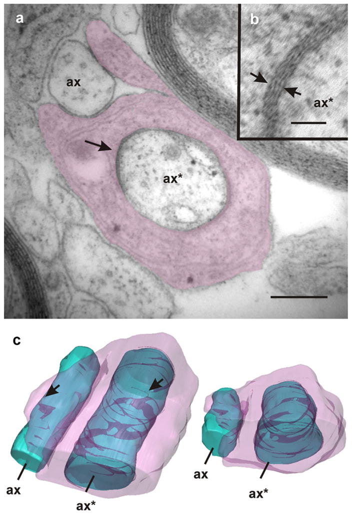 Fig. 10