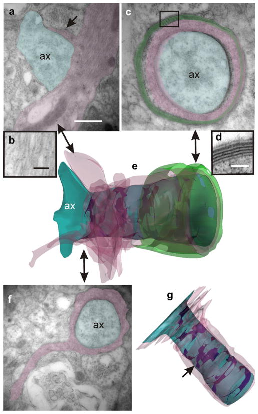 Fig. 11