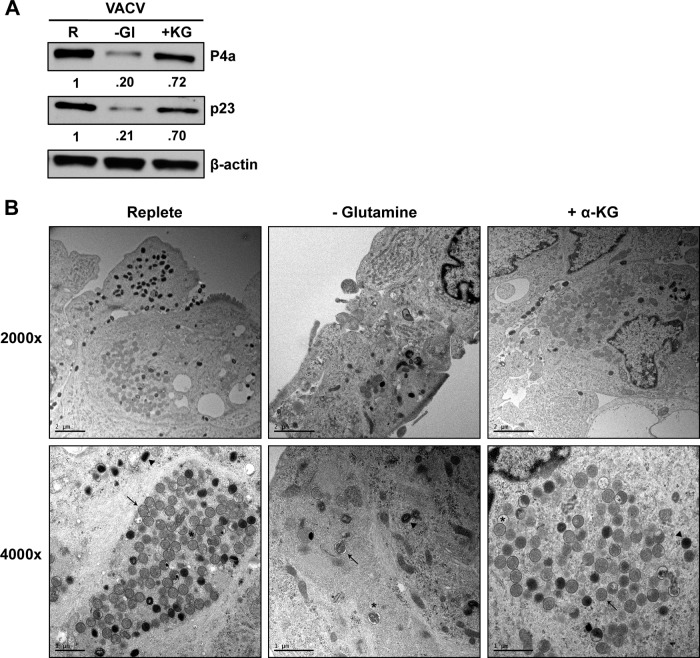 FIG 4