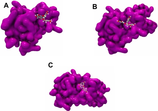 Figure 6