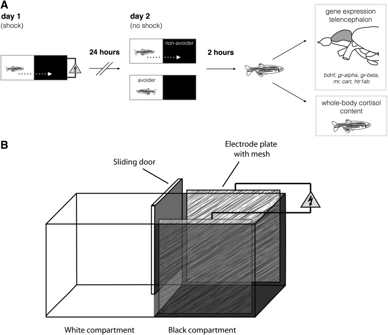 FIG. 1.