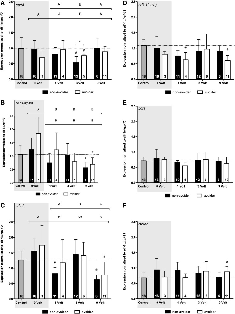 FIG. 4.