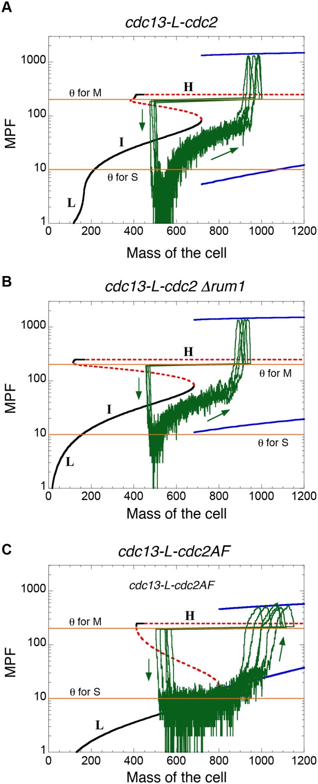 Figure 7