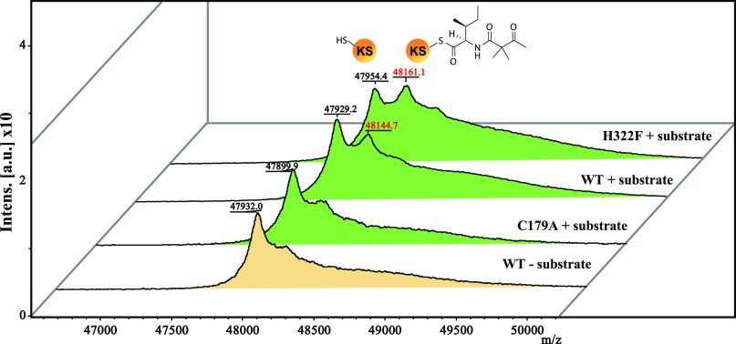 Figure 5.