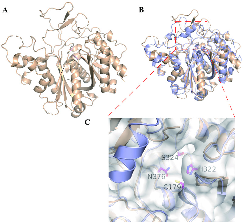 Figure 3.