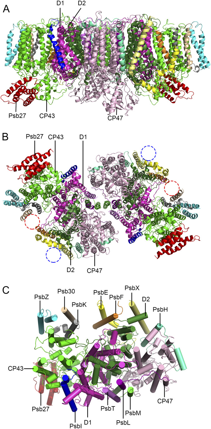 Fig. 1.