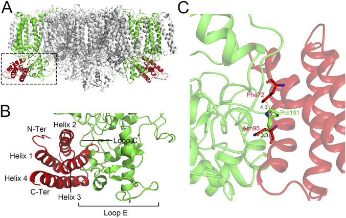 Fig. 2.