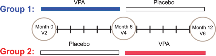 Fig.1