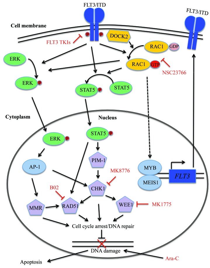 Figure 6.