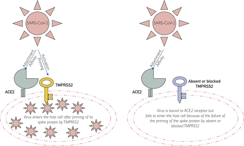 Figure 2