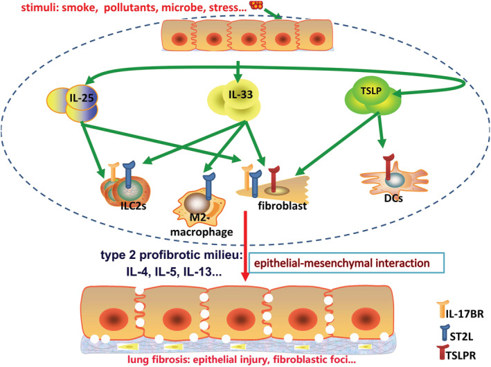 FIGURE 2