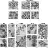 FIG. 6.