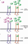 Fig. 7