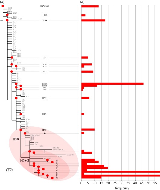 Figure 3.