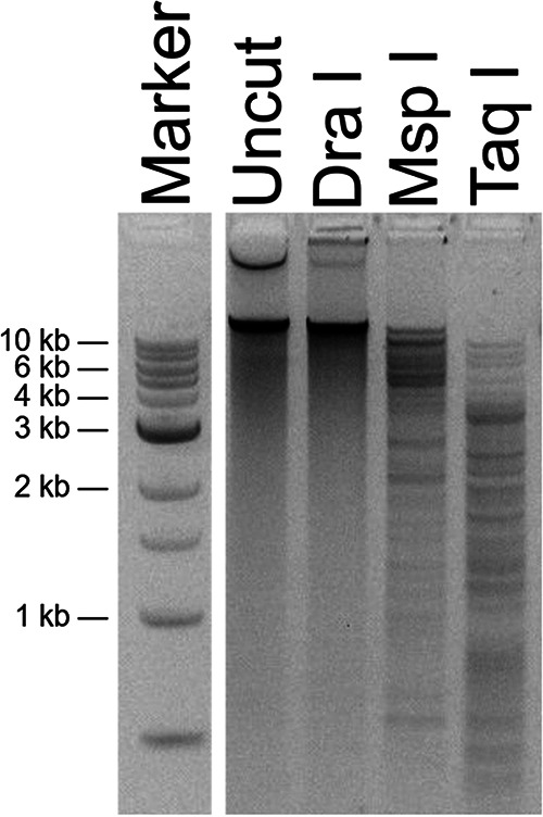 FIG 2