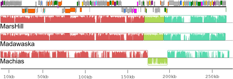 FIG 3