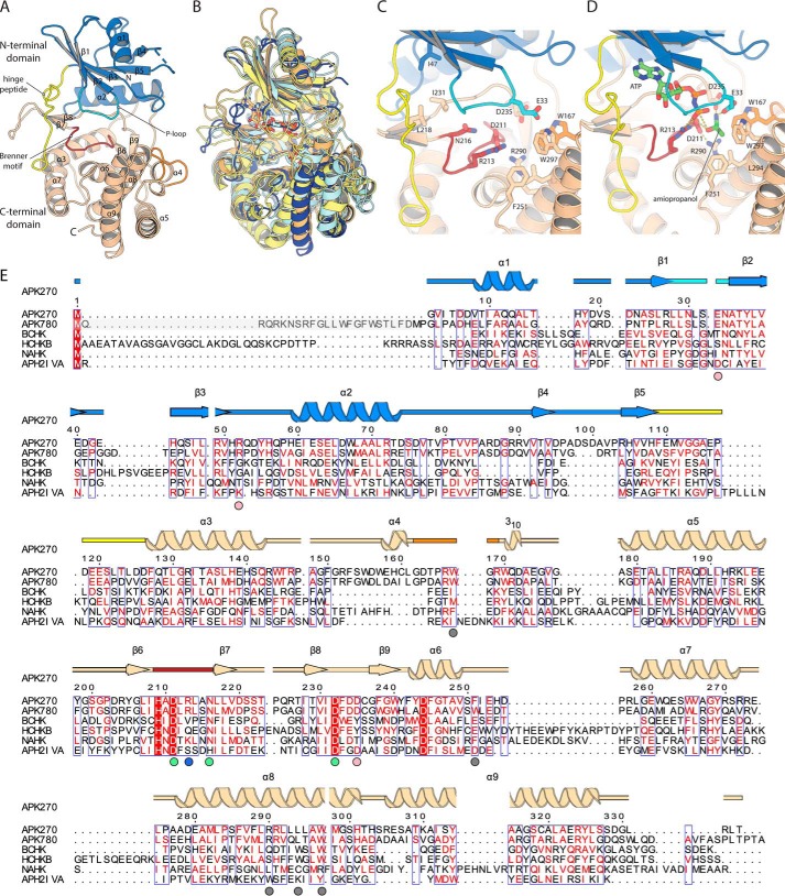 Figure 2.