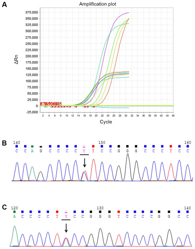 Figure 1.