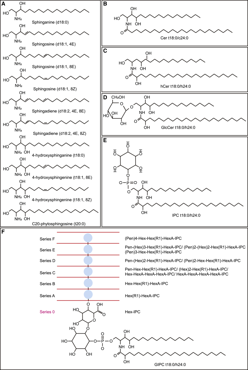 Figure 1