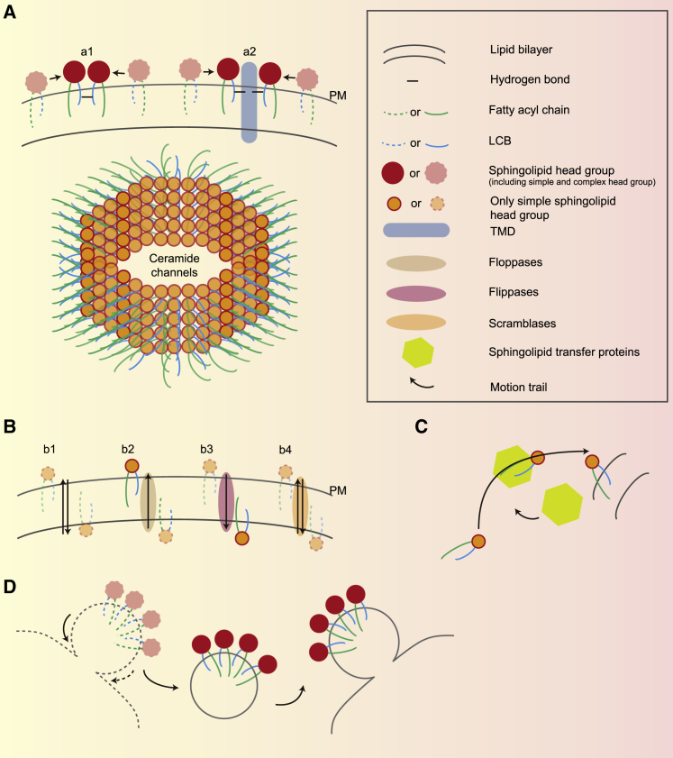 Figure 3