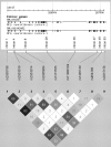 Figure 1.