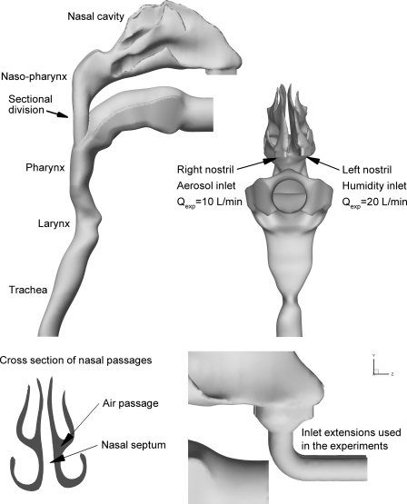 FIG. 1.