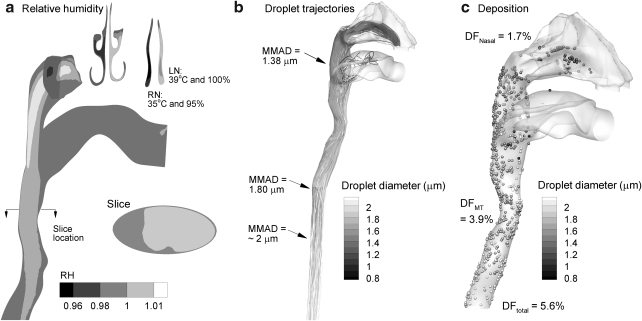 FIG. 8.