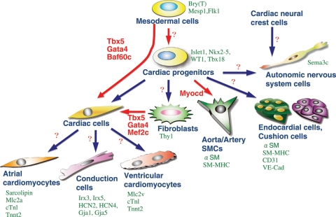 Figure 2