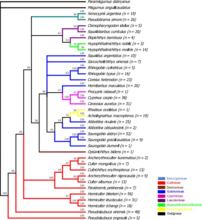 Figure 4