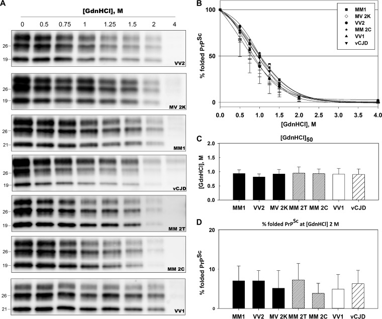 FIG 2