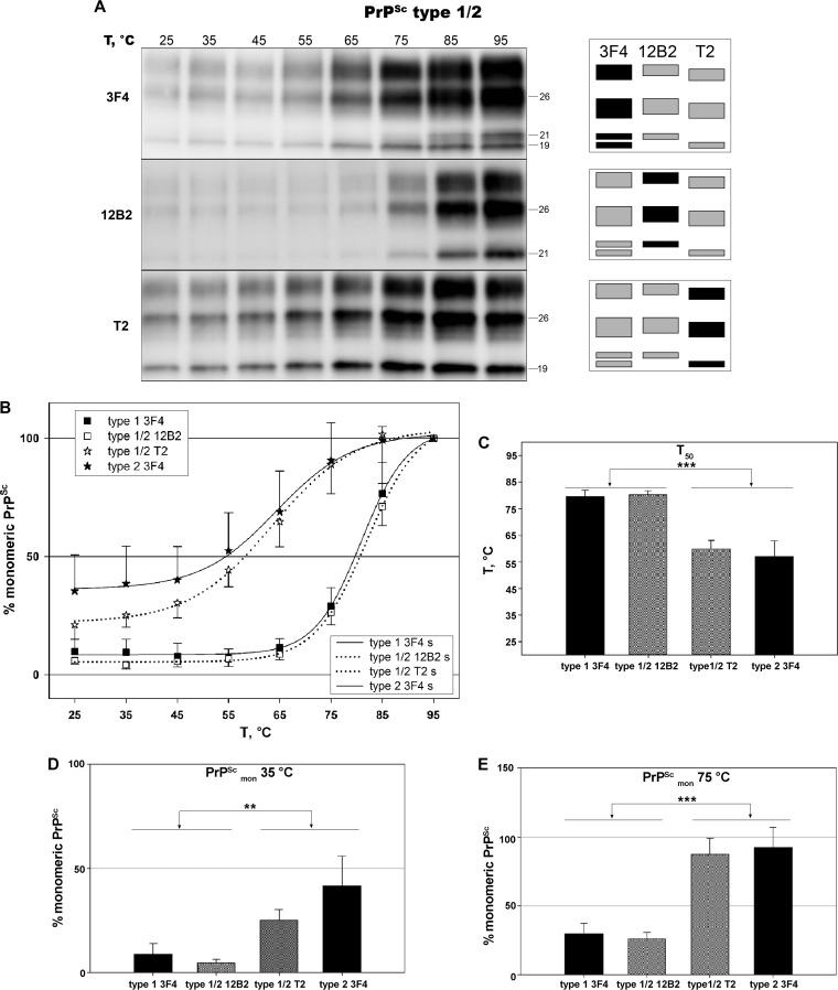 FIG 6