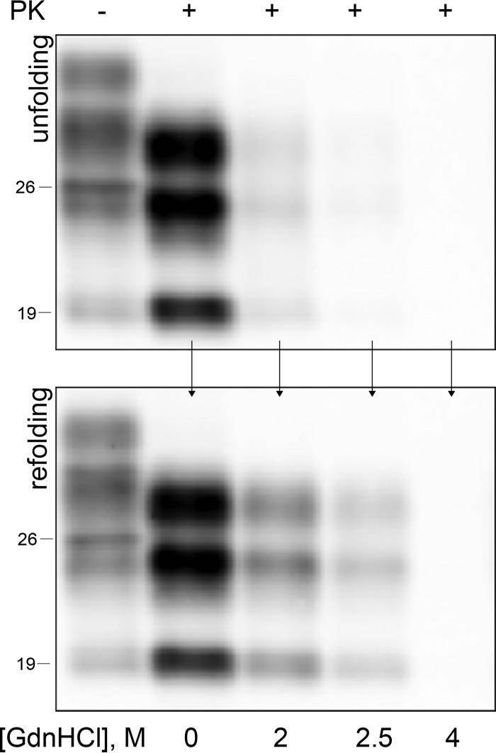 FIG 1