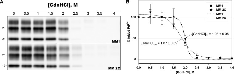 FIG 3