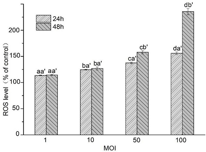 FIGURE 4