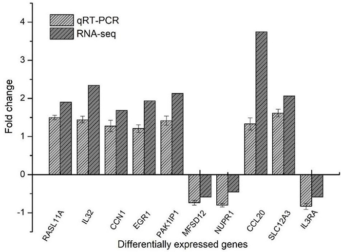 FIGURE 10