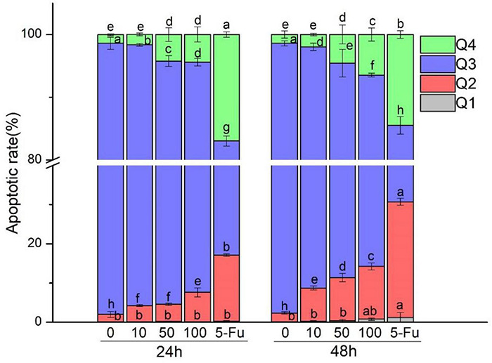 FIGURE 3