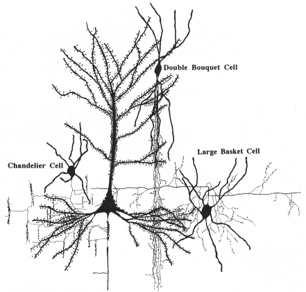 Figure 15